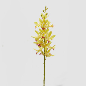 ORQUÍDEA CYMBIDIUM - 70cm